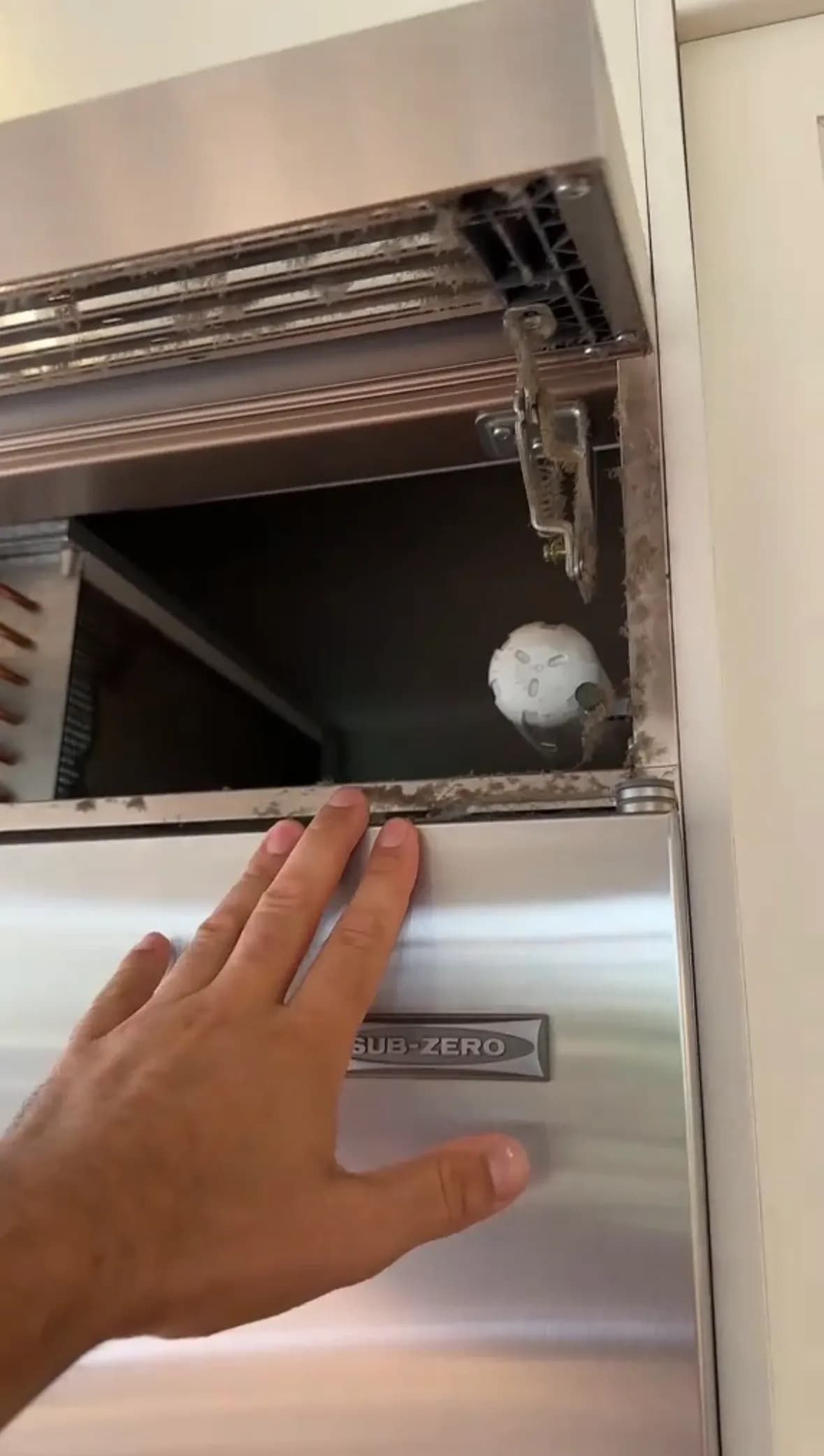 Gallery image 697a0d22e2ee0aed2de3d6d1